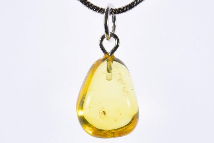 Polished Baltic Amber Pendant (Necklace) - Contains Insect! #339589